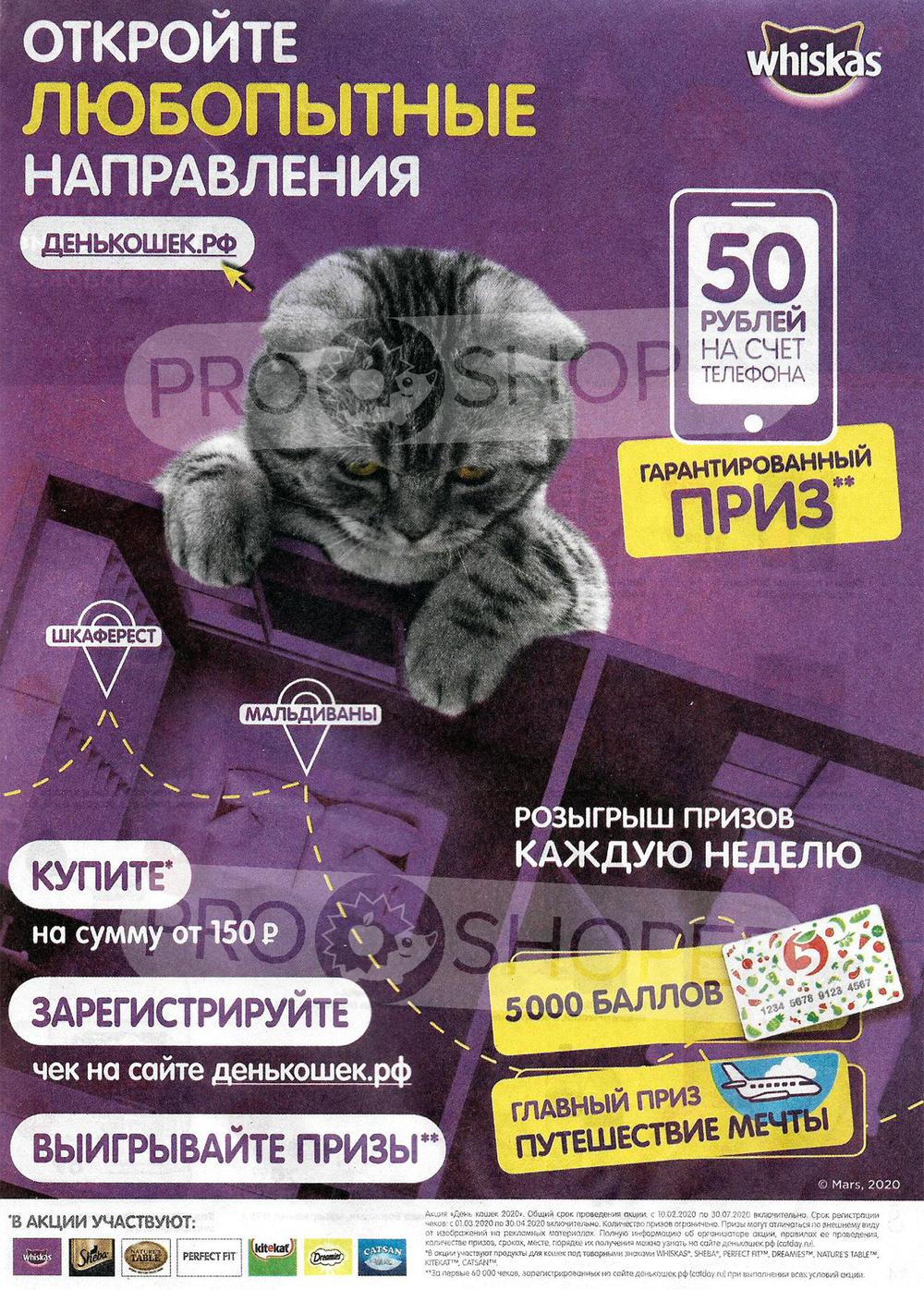 Каталог «Пятерочки»: Акции - страница 13
